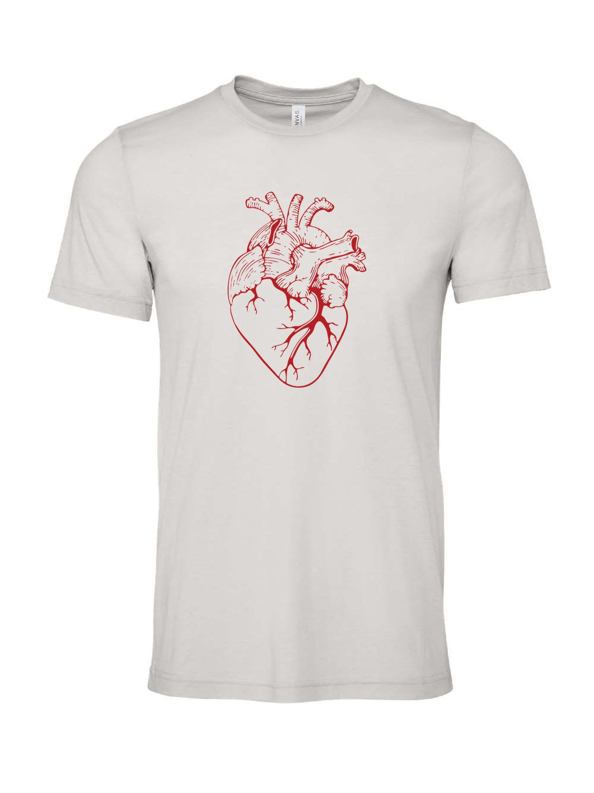 Anatomical Heart on a cement gray t-shirt