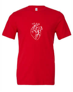 Anatomical Heart