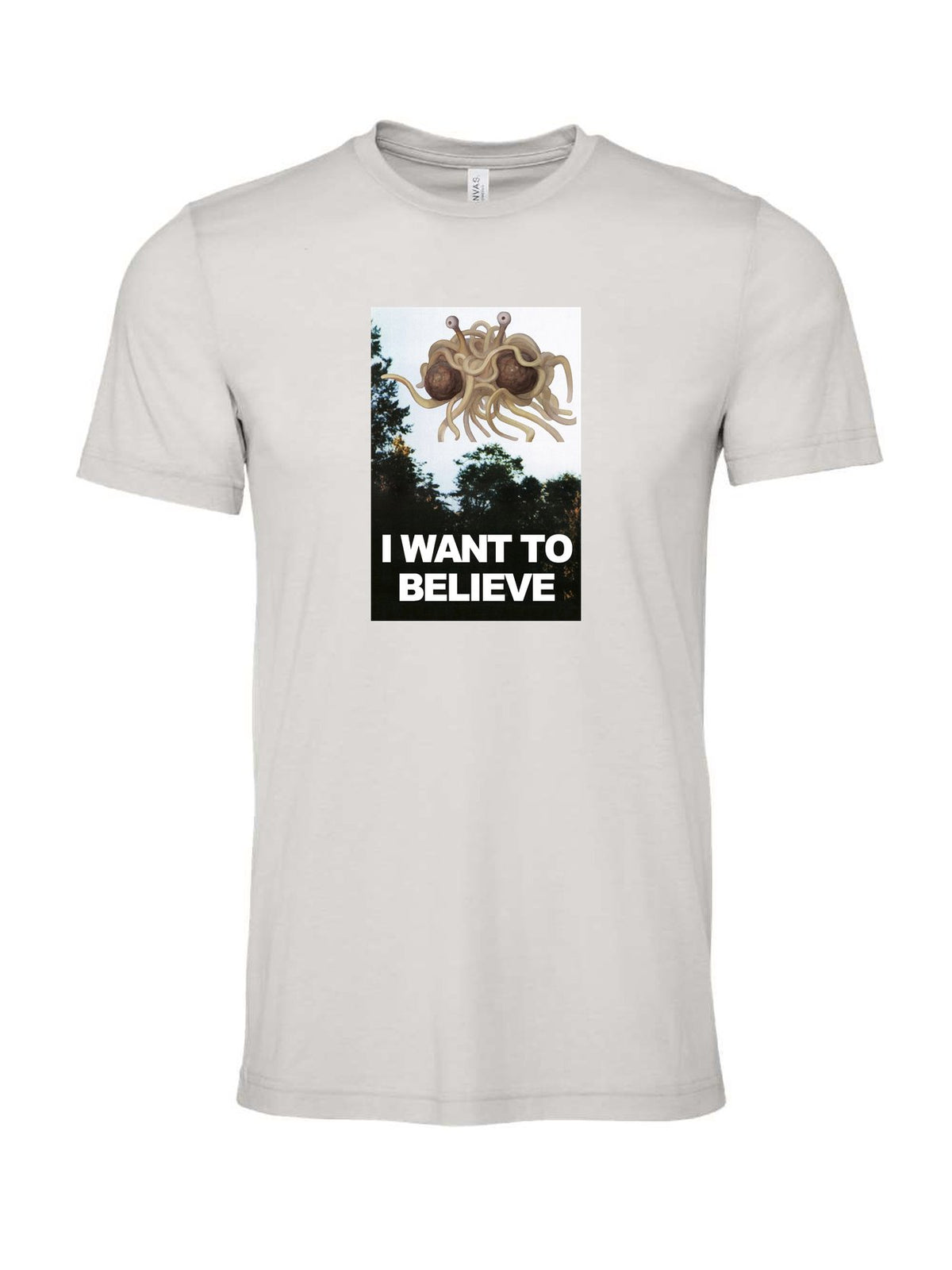 I Want To Believe on a cement gray t-shirt