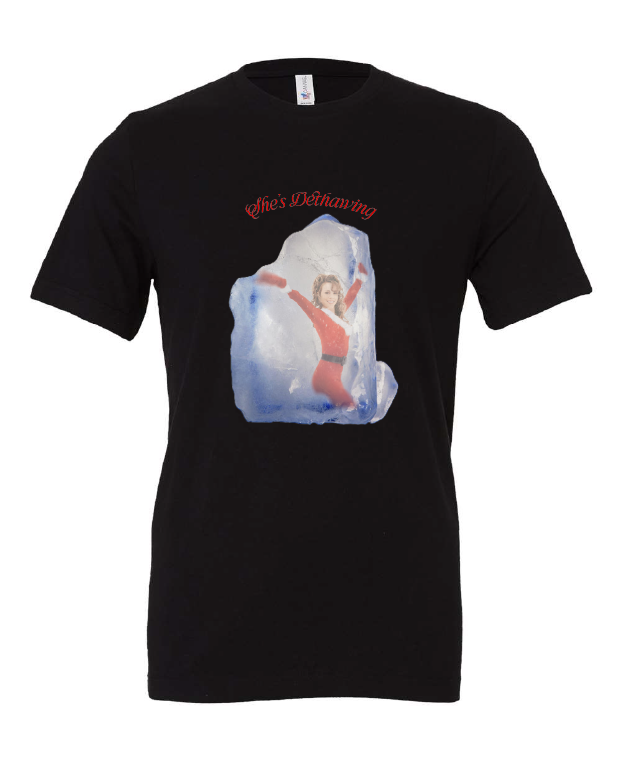 She's Dethawing t-shirt, photo 2