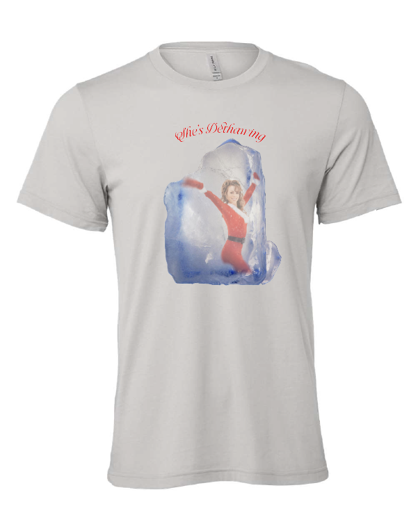 She's Dethawing t-shirt, photo 3