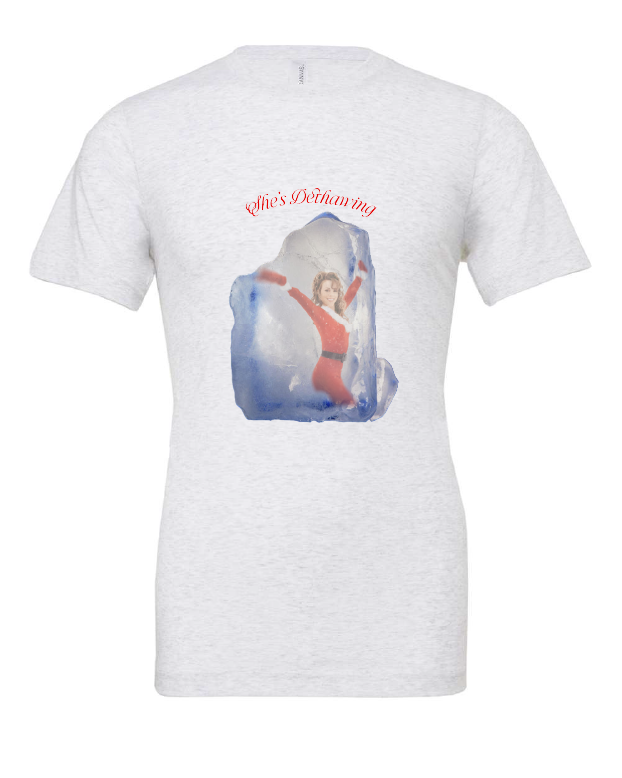She's Dethawing t-shirt, photo 4