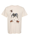 Tarantulas by Claire Wakefield, front, on an ivory Comfort Colors tee