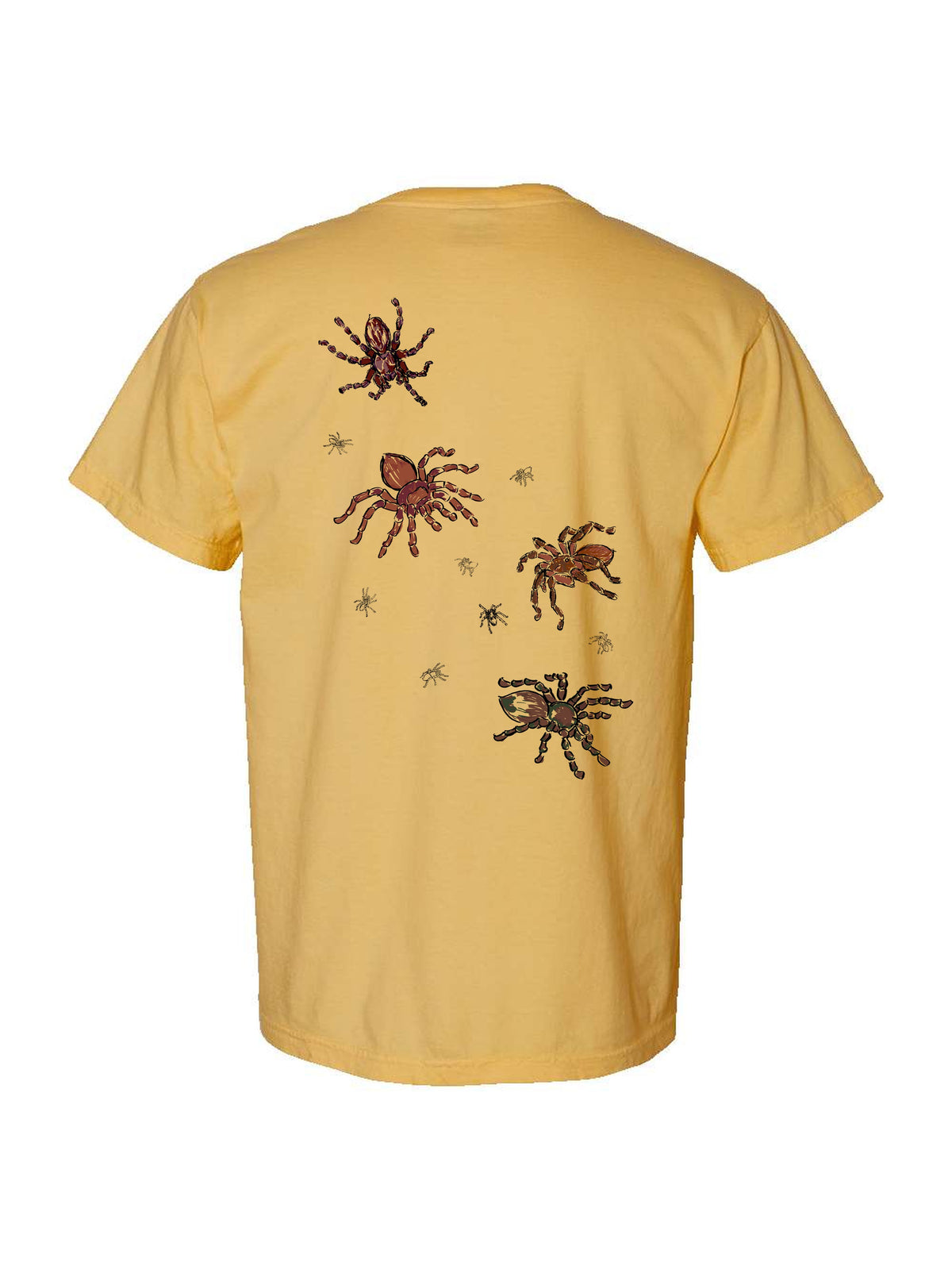 Tarantulas by Claire Wakefield, back, on a mustard Comfort Colors tee
