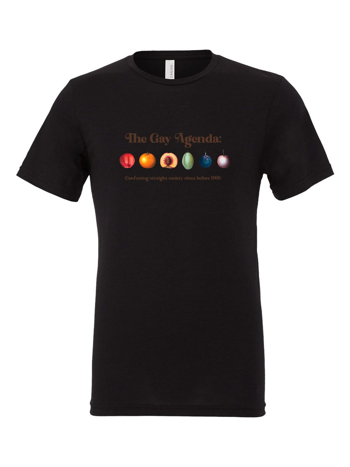 The Gay Agenda on a black t-shirt