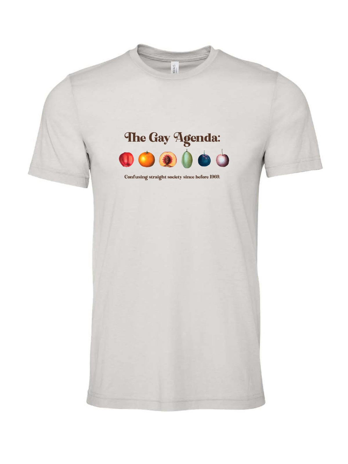 The Gay Agenda on a cement gray t-shirt
