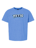 Yetis flag football logo printed on a youth heather royal t-shirt